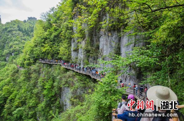 4月9日，游客在恩施大峡谷景区游玩 周章龙 摄