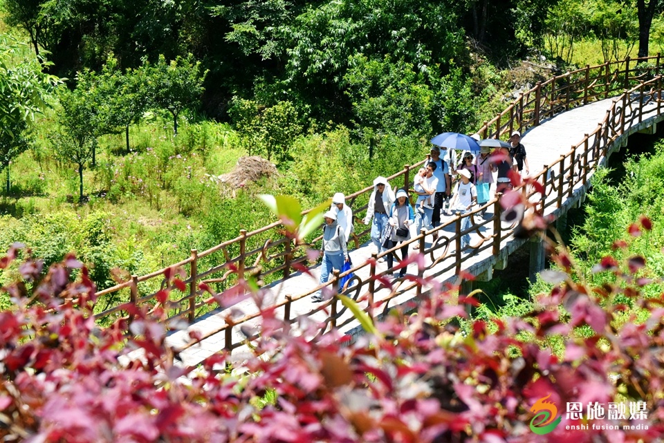 游览景区_副本.jpg