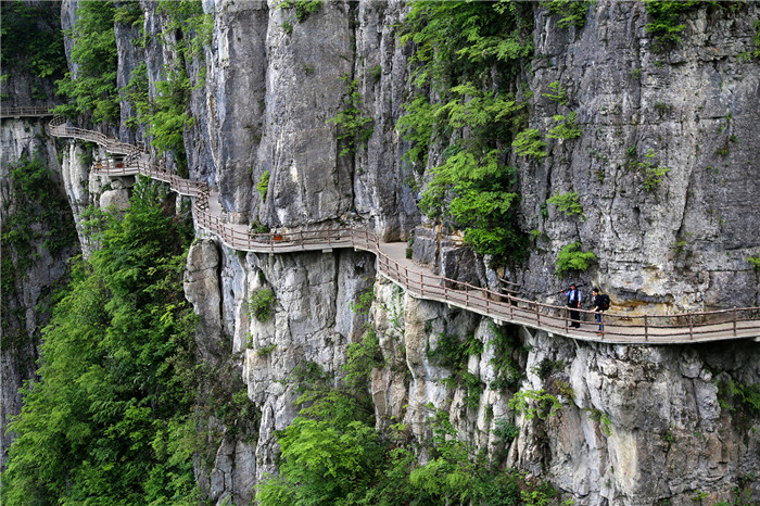 JP2A2856v_看图王.jpg